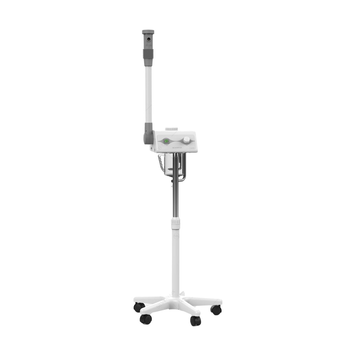 Silverfox Steamer with Ozone and Stand